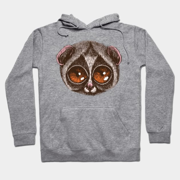 Slow Loris Hoodie by AnimalsFashion